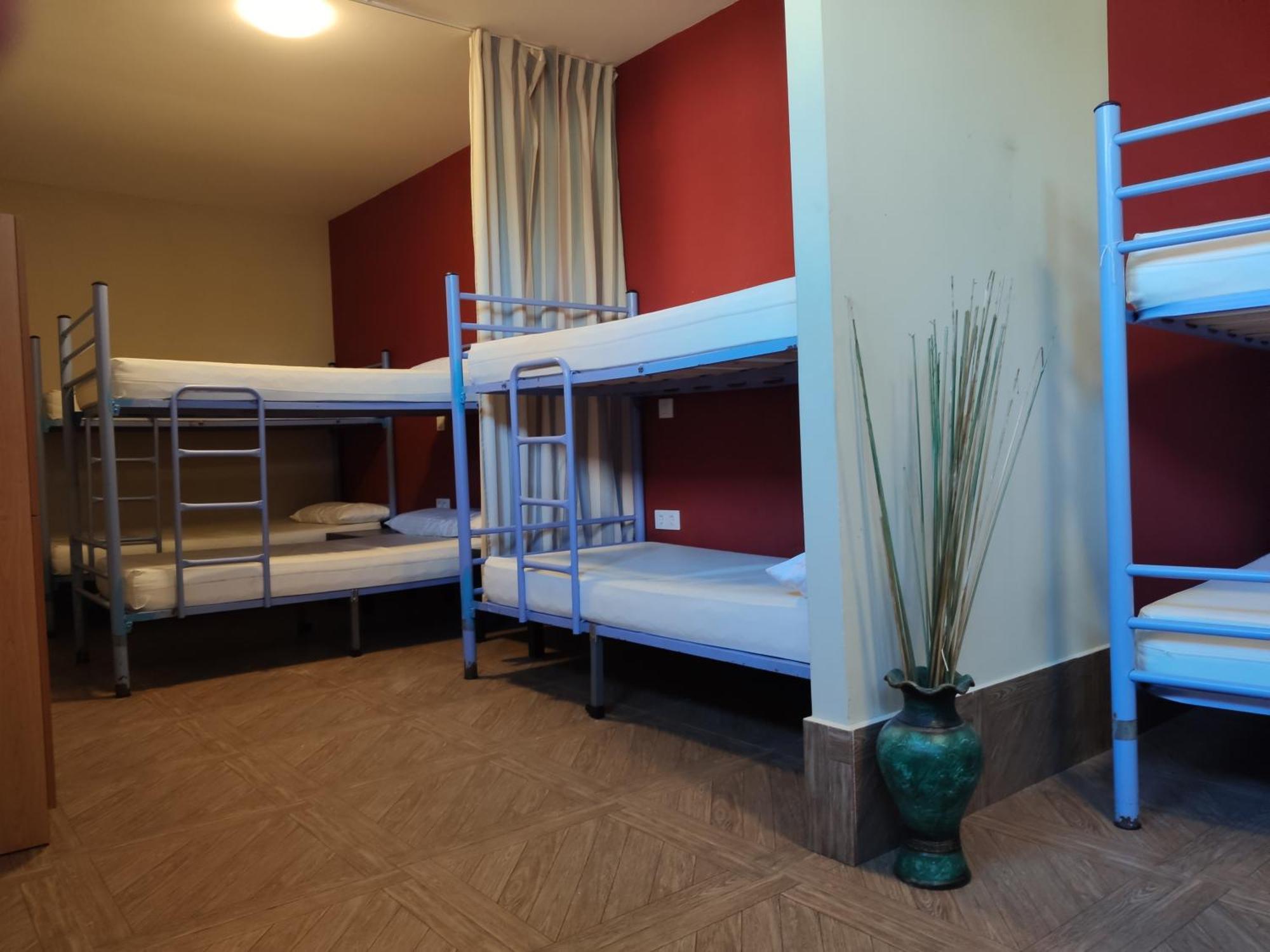 Albergue O Logoso Campelo ห้อง รูปภาพ